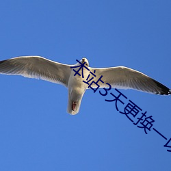 欧博abg - 官方网址登录入口