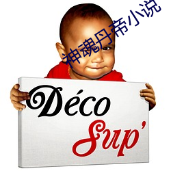 神魂丹帝小說