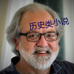 历史(史)类小说