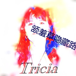 金年会(中国)官方网站