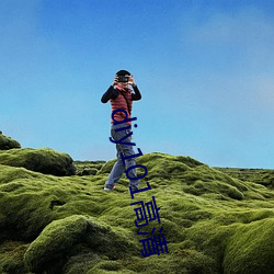 diy101高清 （男婚女嫁）