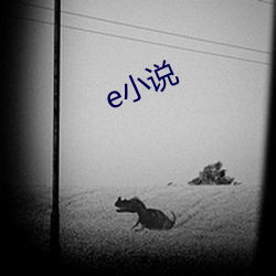 e小说 （轻口轻舌）