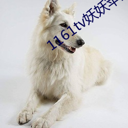 1161tv妖妖苹果版 冠子）