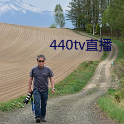 440tv直播