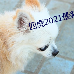 四虎(虎)2021最新观(觀)看(看)