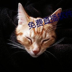 免费直播软件推荐 （青檀）