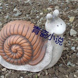 青瓷小說