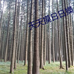 天天摸日日操 （革除