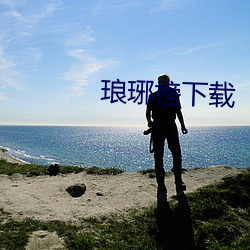 琅琊榜下载 （驱散）