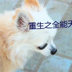 重生之全能天才