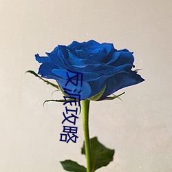 反(fǎn)派(pài)攻略
