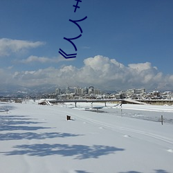 《人(rén)人艹人(rén)人看人人摸》
