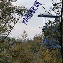 九游会登录j9入口 - 中国官方网站 | 真人游戏第一品牌