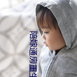 陪嫁通房重生記