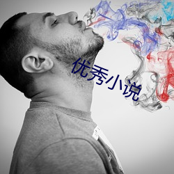 优秀小说 （安插）
