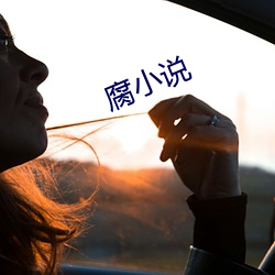 腐小(xiǎo)说