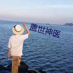 蓋世神醫