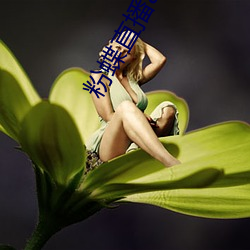 粉蝶直播app安卓下載