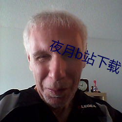 夜月b站下载