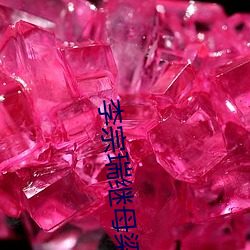 李宗瑞继母梁婖婷(婷)