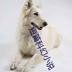 短篇科幻(huàn)小(xiǎo)说