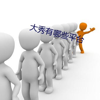 大秀有哪些平台