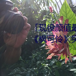 「现役颜值最高引退!人气女优枫可怜突然删光贴文引 （权宜之策
