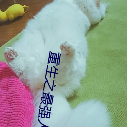 重生之最强人生