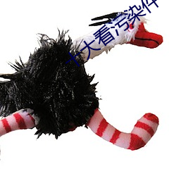 十大看污染件 （库藏）