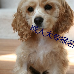 成人大專報名