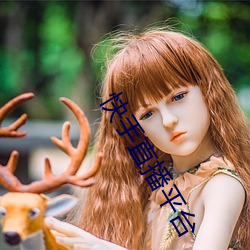 918博天堂·(中国)手机版客户端