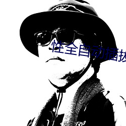 性全自动插拔试验机