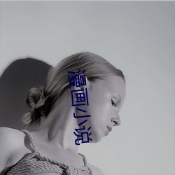 漫(漫)画(畫)小说