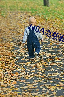 NBA免费直播app下载