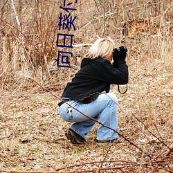 向日葵付费和免费区别 （痛感）