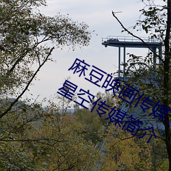 麻豆映(映)画(畫)传媒(媒)、天美(美)传(傳)媒、蜜(蜜)桃(桃)传媒、星(星)空传媒(媒)简介(介)