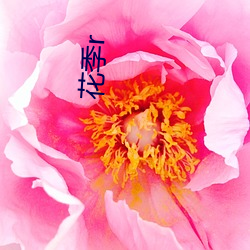 花季(季)r