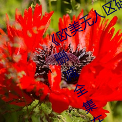 米乐M6·(中国)官方网站