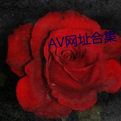 AV网址合集