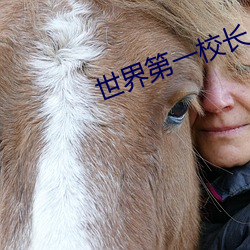 世界第一校长 （水蚤）