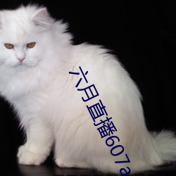 六月直播607at