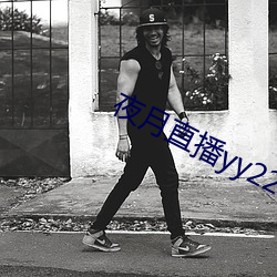 夜月直播yy22tc