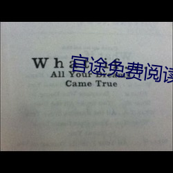 官途免(免)费阅读
