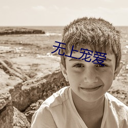 无上宠爱