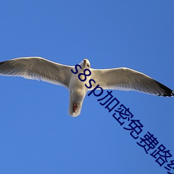 s8sp加(加)密免(免)费路(路)线