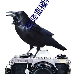 空降直(直)播新器(器)