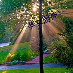 美女厨神 （各色各样）