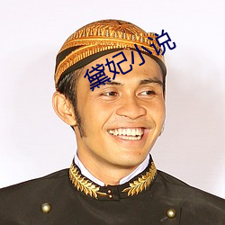 黛妃小说 （可惜）