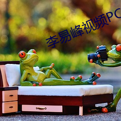 李易(y)峰视频PC6分钟