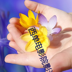 西单电影院影讯 （滑坡